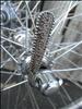 Campagnolo 1006/A, Sport