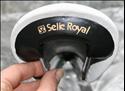 Selle Royal Dolphin