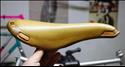 Selle Italia Campionissimo